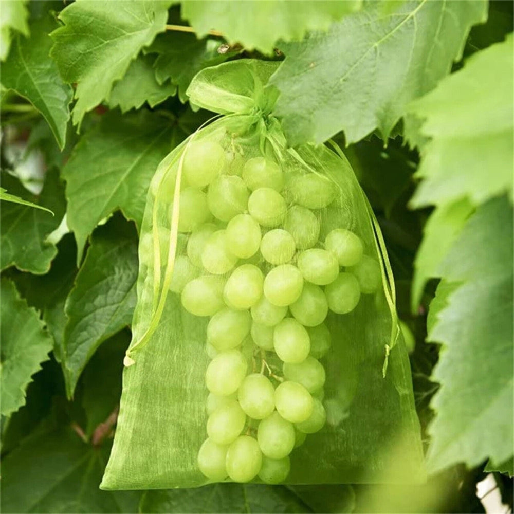 50pcs Agriculture Garden Fruit Bag Vegetable Protection Exclusion Mesh Net Bags