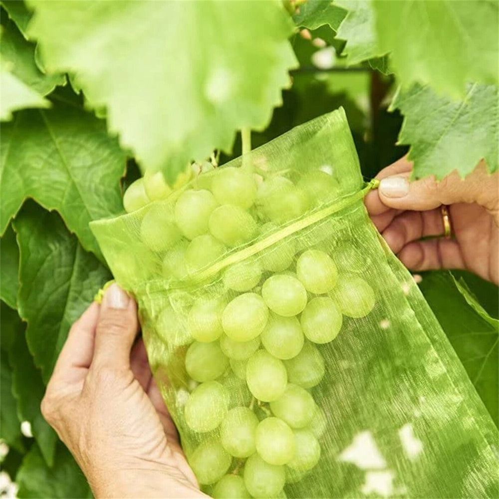 50pcs Agriculture Garden Fruit Bag Vegetable Protection Exclusion Mesh Net Bags