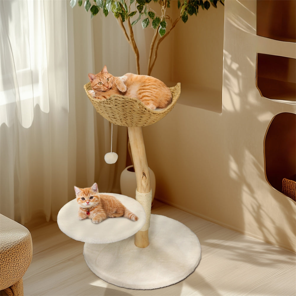 Modern Cat Tree Solid Wood Kitten Scratching Tree Activity Tower