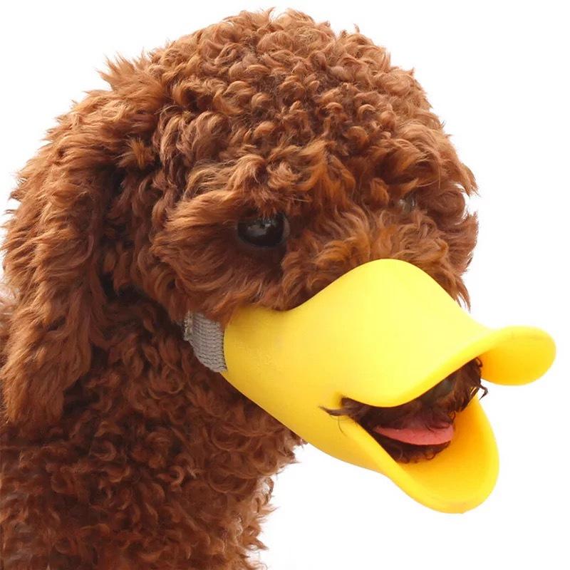 Silicone Duck Muzzle Mask for Dogs (Small dogs) - Chic Cart 